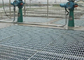 Verdraaide de Vloergrating van het Barroestvrije staal, Industriële de Vloerroosters van ISO9001 leverancier